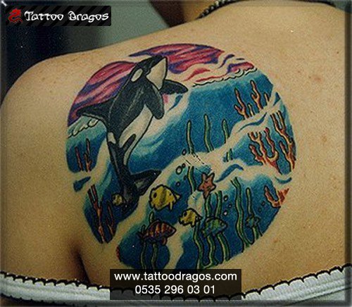Balık Orka Balina Tattoo
