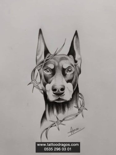 Doberman Köpek Dövme Modeli