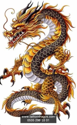 Dragon Dövme Modeli