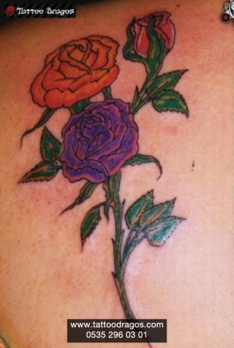 Gül dövmesi #rosetattoo • By @elvin.ink (antalya) | Black rose tattoos,  Tattoo fonts, Tattoos for women