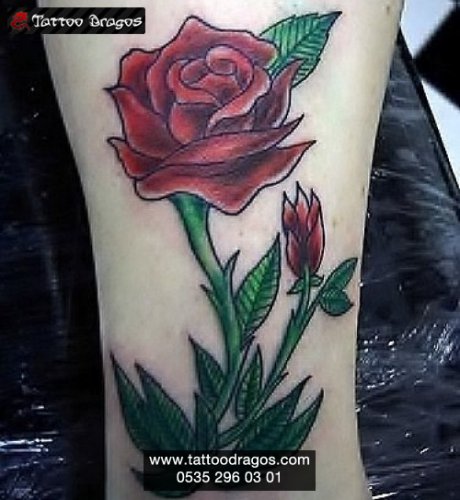 Rose Tattoo whip shading - Tattoo Time lapse - YouTube