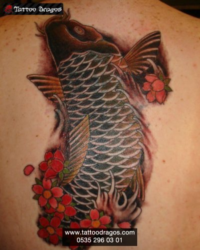 Japon Balığı Tattoo