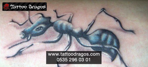 Karınca Tattoo