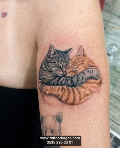 Kedi Dövmesi