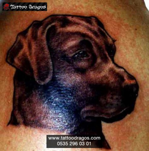 Köpek Tattoo