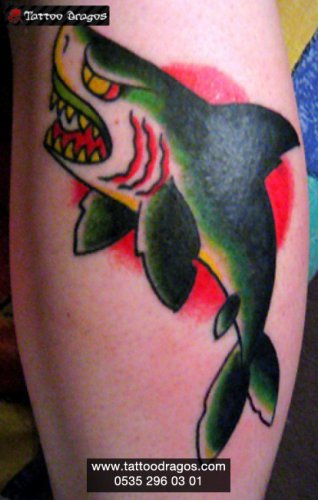 Köpekbalığı Shark Tattoo