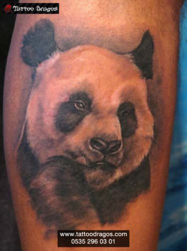 Panda Ayı Tattoo