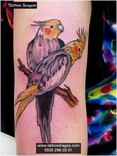 Papağan Kuş Tattoo