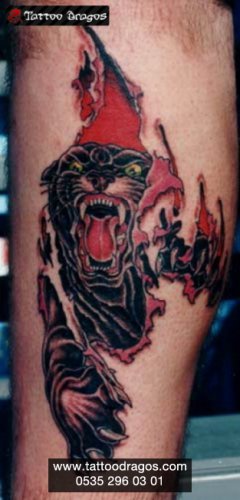 Puma Yırtık Tattoo