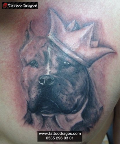 Şampiyon Köpek Tattoo