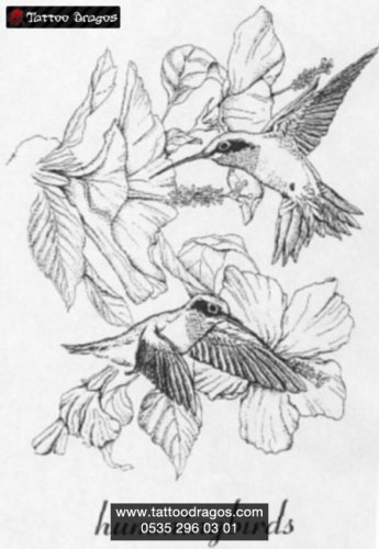 Sinek Kuşu Çiçek