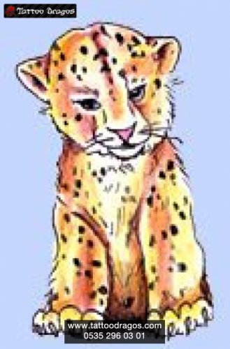 Yavru Leopar