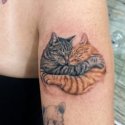 Kedi Dövmesi