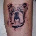 Köpek Tattoo