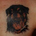 Köpek Tattoo