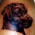 Köpek Tattoo