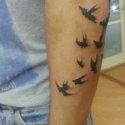 Kuşlar Tattoo