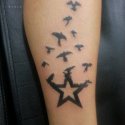 Yıldız Kuşlar Tattoo