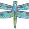 Yusufçuk Dragon Fly