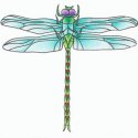 Yusufçuk Dragonfly