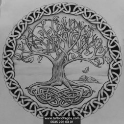 Celtic Ağaç Dövme Modeli