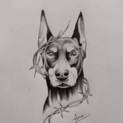 Doberman Köpek Dövme Modeli
