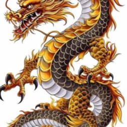 Dragon Dövme Modeli