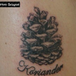 Kozalak Çam Tattoo