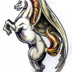 Pegasus